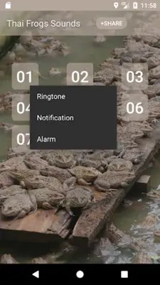 Thai Frogs Sounds android App screenshot 1